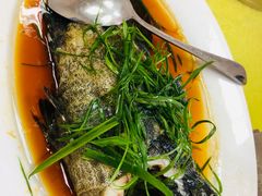 -双月饭店·20年老字号(新村店)