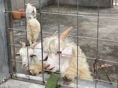 -迪茵湖田家舍生态农场