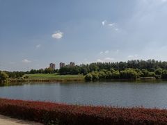 -渔家小院观海海肠捞饭地方菜(环海中路店)