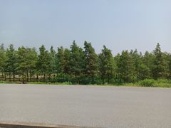 -南汇嘴观海公园