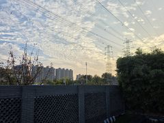 -曲水兰亭(北京四惠店)