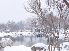 -郑东新区湿地公园