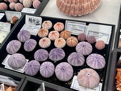 -济南恒隆广场
