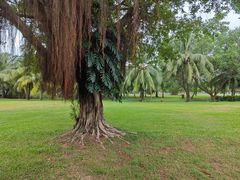 -白沙门生态公园