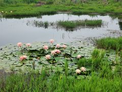 -云漫湖生态度假公园