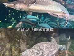 -珠海长隆海洋王国