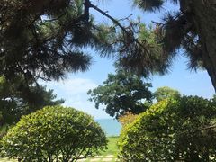 -青岛海景花园大酒店
