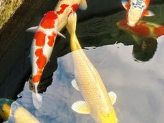 -西安市广仁寺