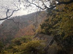 -北京鹫峰国家森林公园