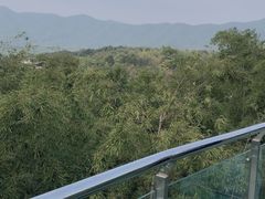 -陶祖圣境风景区