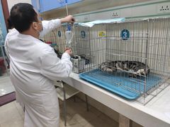 -乖乖乐动物医院(小汤山分院)