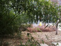 -中家鑫园温泉酒店鑫悦汤泉