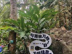 -呀诺达热带雨林