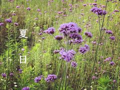 -杭州城北体育公园