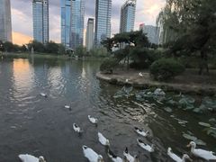 -木塔寺遗址生态公园