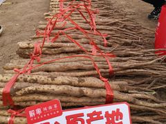 -解家河南菜(商鼎路店)