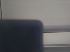 -南汇老顾农家乐采摘大团水蜜桃采摘店