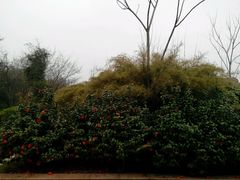 android_upload_pic-湖北经济学院-图书馆