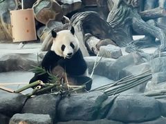 -武汉动物园