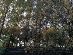 -苏州文庙(姑苏区)