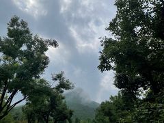 -佛慧山