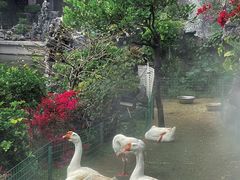 -广东圆玄道观