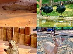 -南戴河国际娱乐中心