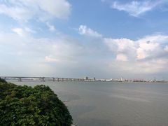 -大湾区中央湿地公园