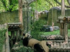 -上海野生动物园