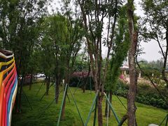 -府河摄影公园