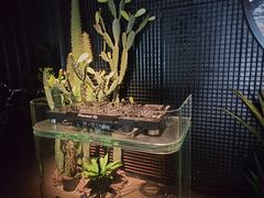 -UNIUNI(凯瑟琳广场店)