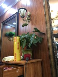 -小齐发型Star·Salon