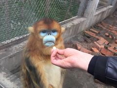 -西安秦岭野生动物园