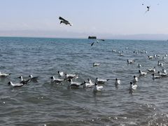 -青海湖二郎剑景区