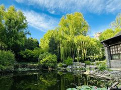 -三忘湖 SWANSEEN(柳荫公园店)