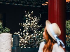 -阳澄湖半岛旅游度假区