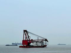 -上海滨江森林公园