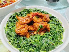 -金米箩大酒店(五角场店)
