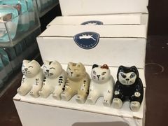 -猫咪博物馆(顶澳仔猫街店)