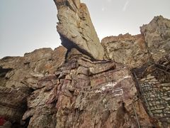 -宾朋海鲜美食餐厅·特色美食(兴海路店)