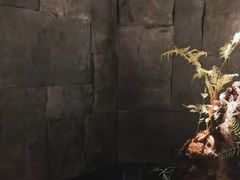 -泰之源足浴会所(玉环店)