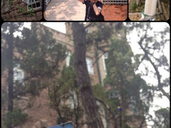 iphone_upload_pic-八大关景区