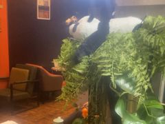 -了凡国风主题茶馆·咖啡(武侯祠锦里店)