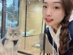 -袖虎猫馆(十亩地店)