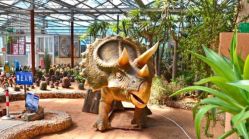 -萌宠亲子动物乐园(槐房万达店)