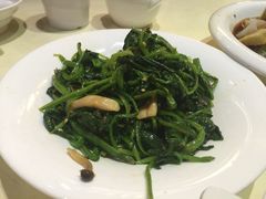 iphone_upload_pic-西北45°(世茂广场店)
