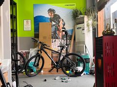 -道路口单车爱瓦士dahon大行