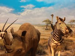 -陕西自然博物馆