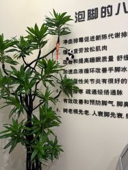 -卡尔诗·科技美肤连锁