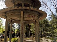-玲珑塔公园